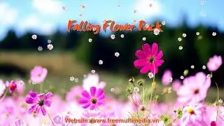 Flower Pack Video Background HD - 2D Loop Motion