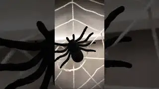 DEZE HALLOWEEN DECORATIE MOET JE HEBBEN! 👻