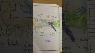 Ear #trending  #Viral#shorts #ytshorts