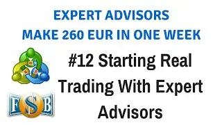 Part 12 - Starting Real Trading with Expert Advisors | Create & Trade Expert Advisors