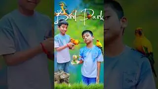 Exotic Bird Park | #birdpark #birds #birdphotography #trending #trendingshorts #taruntharan