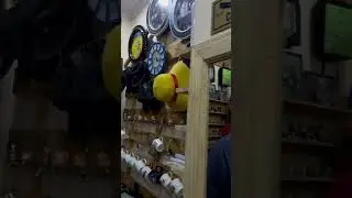 ANIME shop In DELHI  #shorts #anime #delhi