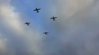Julgranskula 2020