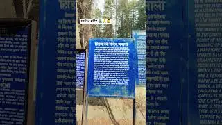 😎Tu Sath Na De Mera chalna mujhe aata Hai | Ankit pal vlogs|(Manali🏯 reels)#vairalshort#rodtrip#song
