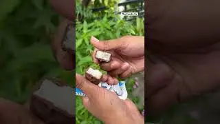 Bounty Coconut Chocolate 🍫 ₹60/- #shorts #foodreview #prayagraj #coconut #chocolate #food