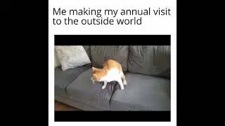 shitpost status