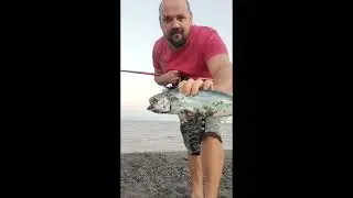 pesca tonnetto aletterato da riva stagione 2022
