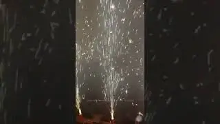 Pakistan fans reactions after winning against India -ICC T20 - 2021