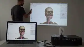 Explore the Human Body with IW2
