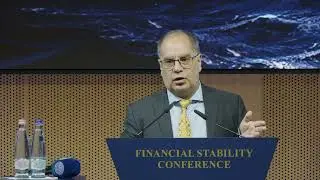 Stress testing and risk modelling in macroprudential policymaking | Financial Stability 2024