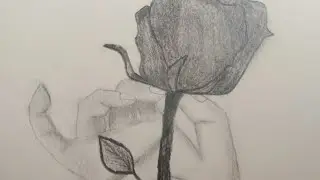 A hand holding a rose 🌹| Pencil drawing| Easy sketch| Arfa Creative Art|