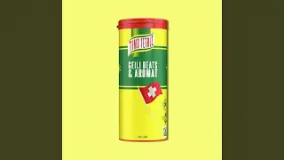 GEILI BEATS & AROMAT (Radio Edit)