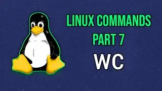 How to use the  wc command  | Linux commands part 7