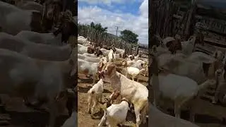 14 de janeiro de 2026