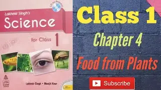 Food From Plants | Chapter 4 | Class 1 | Science