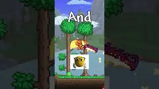I&rsquo;m Not A Summoner Main💀💀 #modded #terraria #moddedterraria #gaming #terrariapc #joke