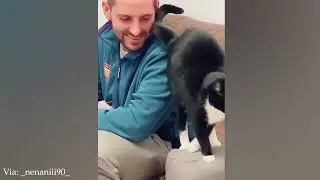 Cat Becomes Unbreakable Bond with his Dad   Cat and Human Moments