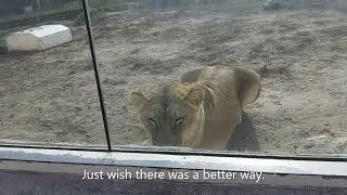 Racine Zoo (Racine ,WI)