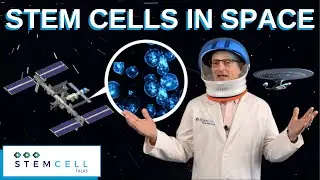 Stem Cells in Space | Growing Meat in Space | Food for Future Space Travelers | Stemsave Inc.