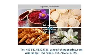 Top quality microwave vacuum dryer for saffron#microwave vacuum dryer#vacuum dryer for saffron