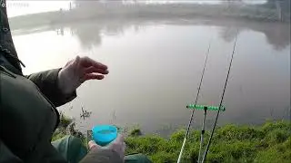 River Adur Chub Session Streatham Wednesday 14th January 2026