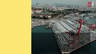 Ship Plus Cell Plus &ndash; Your One-Stop Shipping & Business Service Center in Chatsworth