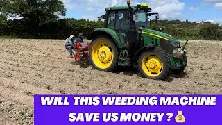 New weeding machine, will it save us money ?! - John Deere - Spapperi interplant weeder
