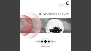 Slumberous Silence (Night)