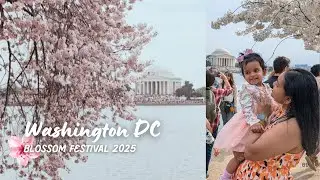 Washington DC Cherry Blossom Festival 2025 | Kite Festival, Gravelly Point, Monument, Hotel Tour