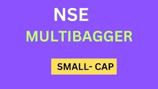 Multibagger Stock 🔥Best Stock To Invest In 2024🚀