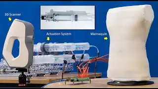 Soft Robotic Mannequin: Design and Algorithm for Deformation Control