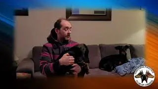 Taping Uncropped Ears