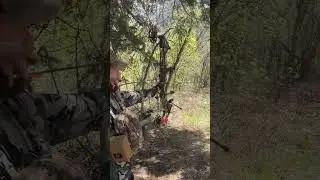 3D target competition! #archery #bowhunting #hunting #hunter #targetshooting #3d #target #kuiu