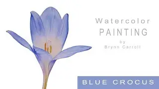 #watercolorwednesdays    How to Paint a Blue Crocus for Beginners!