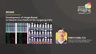 Webinar - Development of Image-Based In Vitro/In Vivo Platform for Targeting CAFs