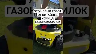 Забыл про газонокосилки, когда купил этого робота! Артикул для заказа на Яндекс Маркете: YM10116161