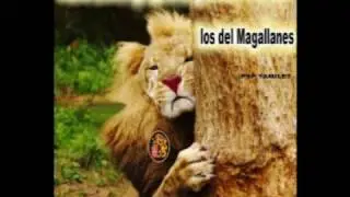Soy Magallanero de Corazon