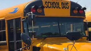 All Bluebird Gasoline Buses We See So Far Look | #bluebirdvision #schoolbuses