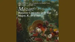 Bassoon Concerto in B-Flat Major, K. 191/186e: II. Andante ma Adagio (Live)