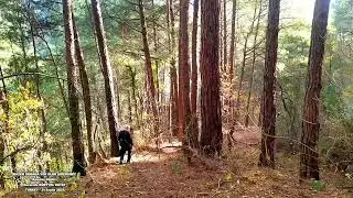 BAZEN DOĞADA YOK OLUR GİDERSİNİZ Amanos dağları Kuzuculu DÖRTYOL HATAY TURKEY 