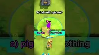 What will Spawn?🙏