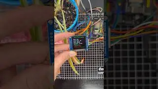 Smart Plant Monitor with Automatic Watering! #esp32 #arduino #smarthome #homeautomation
