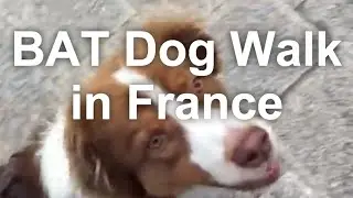Urban Dog Walking - BAT Leash Skills in France with Gabou | Grisha Stewart