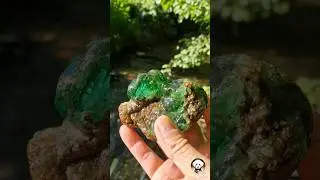 I FOUND A GREEN GEMSTONE WHILE PANNING FOR GOLD! 🐶🌟 (New Stream, New Discoveries) #GoldRush