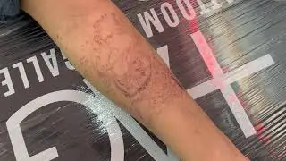 Realistic Owl Tattoo Part 1 Blood line