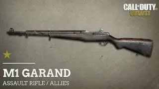 CALL OF DUTY WWII & ADVANCED WARFARE | M1 GARAND GUN