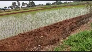 2 acers land on road bite cheruvu gattu tempul nalgonda yellareddy gudam 50lks for acer