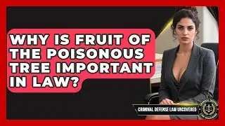 Why Is Fruit Of The Poisonous Tree Important In Law? - Criminal Defense Law Uncovered