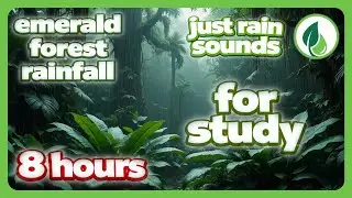 8 hours Emerald Forest Rain for Sleep | Lluvia de bosque esmeralda para dormir 8 horas