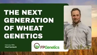 The Next Generation of Wheat Genetics | FP Genetics